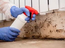 Professional Mold Inspection in Long View, NC